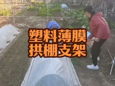 ���ϱ�Ĥ����֧��