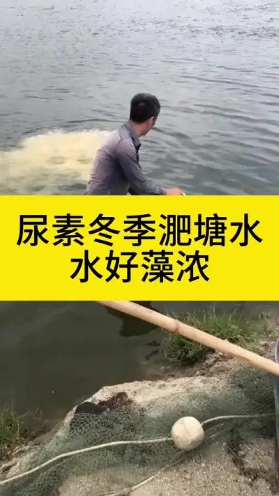 �������������ص�#����#����#ˮ����ֳ#ˮ����#��������