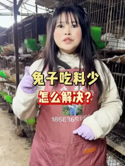 #���� #������ #�������� #����������������