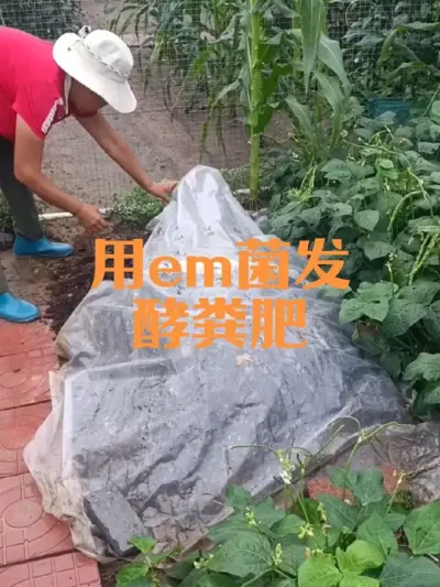 ��em�����ͷ��#em��