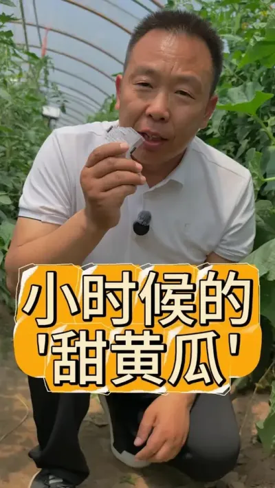 儿时的甜黄瓜，您有吃过吗？#小时候的味道你们还记得吗