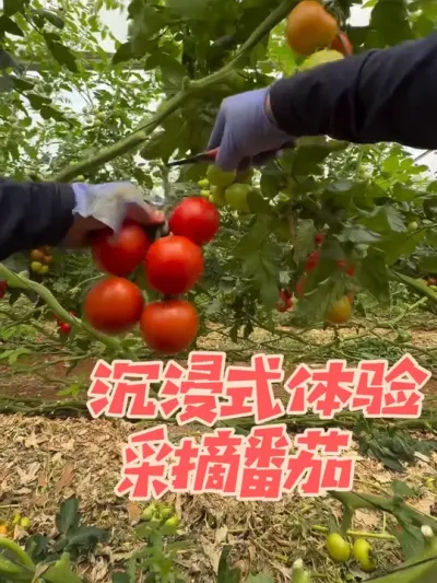 ��һ�ӽǴ�����������ʽ���ܲ���������?#������ũ�� #�ҵ��������� #��ũ #ԭ����Ƶ #���ʲ�ժ