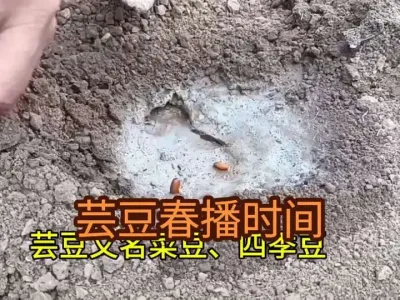 ����ܿ��ʱ�估ע������#����