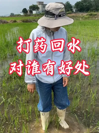 ������ݼ�����ˮ���ݺ������������˶���#�����������Ļ��� #����ũҵ֪ʶ��ũ����������