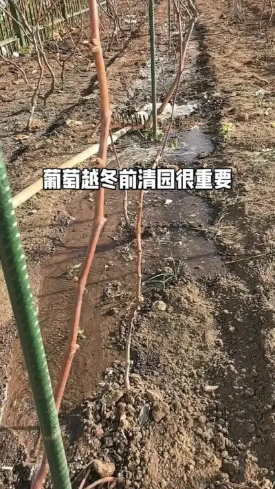 #�ҵ�ũ������