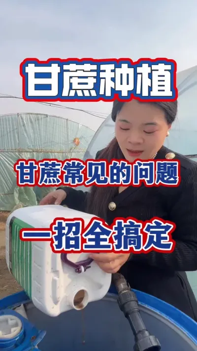 �ܾ�����������һ���ǵ׷�������׷���������յĻ���#����ݪֲ#����ʩ��#����