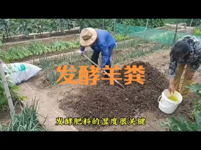 ���������������#����ũ�ҷ�