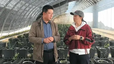 �������ѹ�ҵ����ϵͳ��λר�������о�Ա��˵��ݮ��ʩݪֲ��ʪ�ȼ�����������