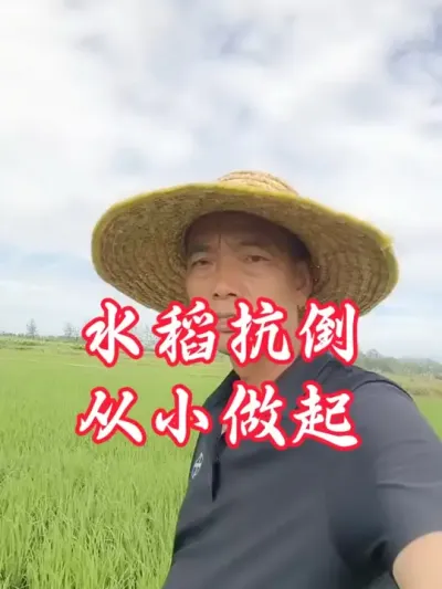 Ҫ�뿹�����������������������#�����������Ļ��� #����ũҵ֪ʶ��ũ����������