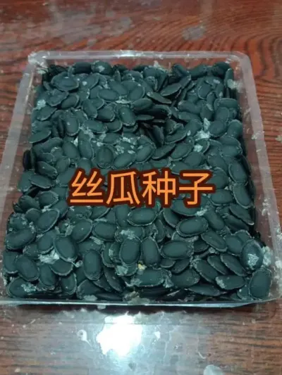 ����˿�����ӣ�����˿������