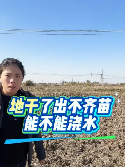 С��Ҫ��Ҫ��ˮ�������ζ���#����ũҵ֪ʶ��ũ���������� #�����������Ļ��� #С��ˮ