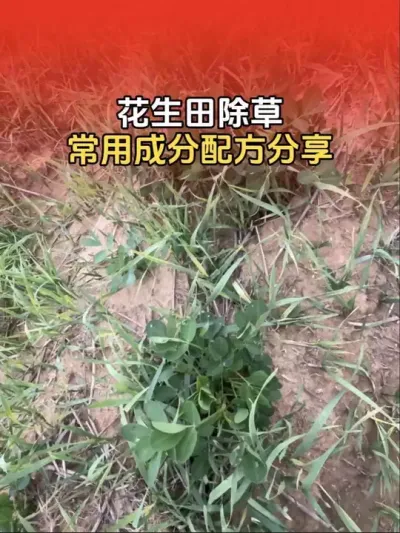 ��������ݼ������������䷽������#����ݪֲ�������� #�����߲�ݪֲ #�����߲� #�������ݼ� #����ũҵ֪ʶ��ũ����������