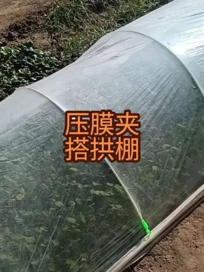 ����Ϲ�����ѹĤ������