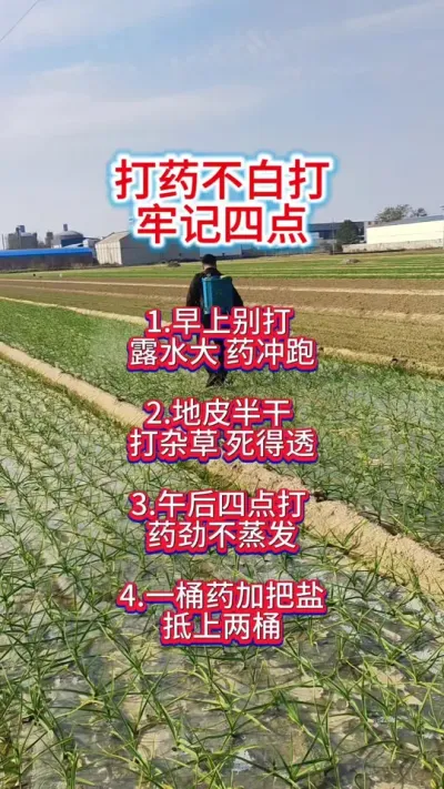 #��ʵ���ķ������� #������#ũҵݪֲ #��ũ #������ũ��ũ #�з�ũҵ