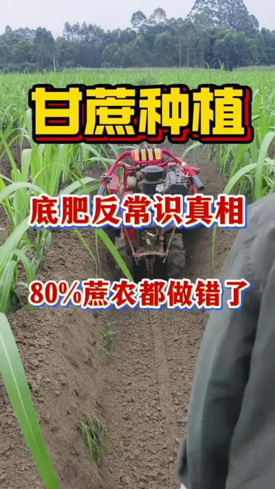 ����׷ʷ�֪ʶ�������㸲������֪#����ݪֲ#�������#����