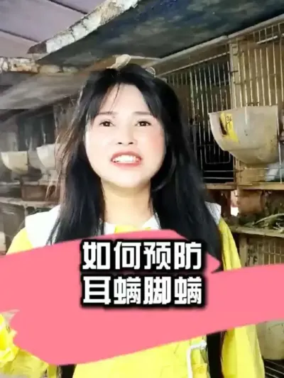 #���� #������ #�������ֿ������߷ֿ����� #���ӽ�Ƥ��