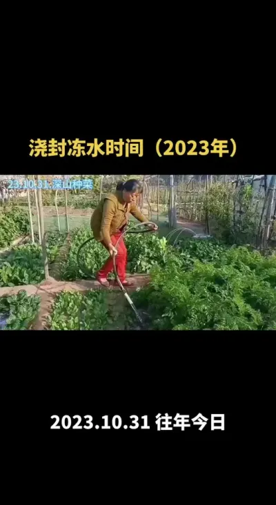 Խ���߲�ʲôʱ�佽�ⶳˮ��2033�꣩