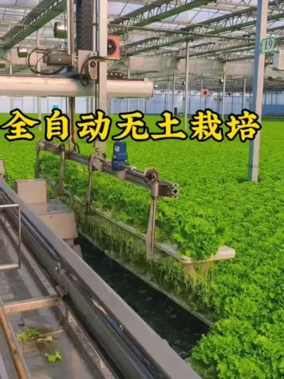 #��ũ #����ݪֲ ȫ�Զ�����ݪֲװ������Լ�˹�����Լʱ�䣡