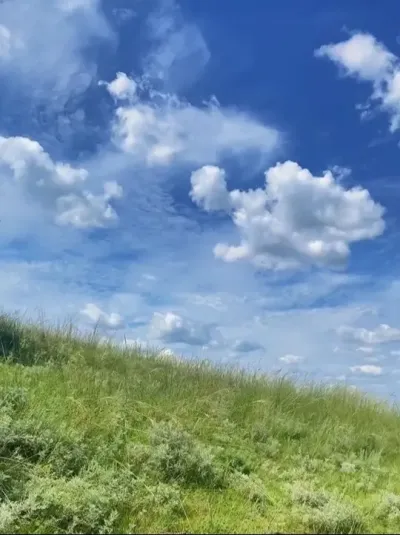 ����̫������ֻ���Ҹ�û�˵ط� ���徲�Ĵ����緢����#������������ #����ϵ���� #������