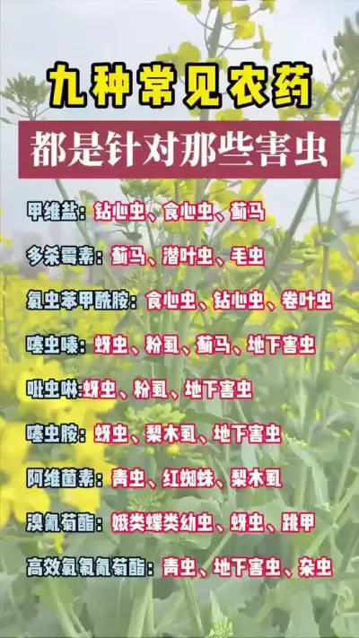 #һ��ƽ��С֪ʶ #ũҵݪֲ ����ũҩ��Ժ���