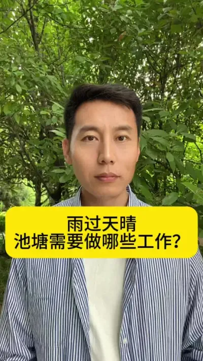 雨过天晴池塘需要做哪些工作？#南美白对虾 #养虾人 #小棚养虾 #冬棚养虾 #创作灵感