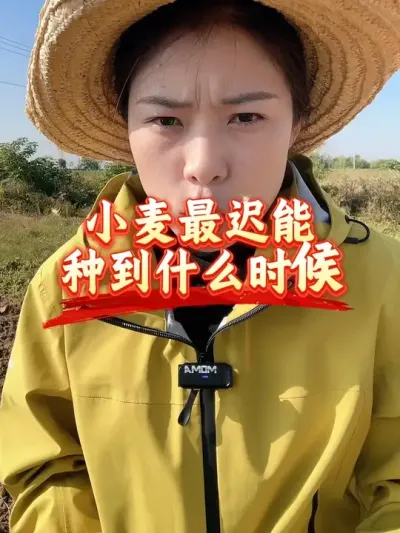 С���������ֵ�ʲôʱ��#�����������ս� #������ũ��