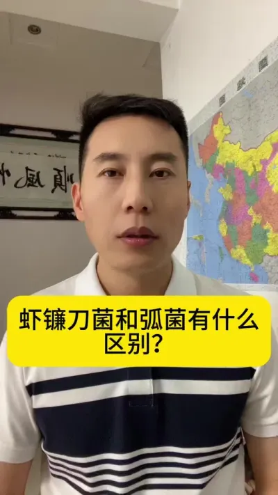 Ϻ�������ͻ�����ʲô������#�����׶�Ϻ #��Ϻ�� #������Ϻ #С����Ϻ #�������