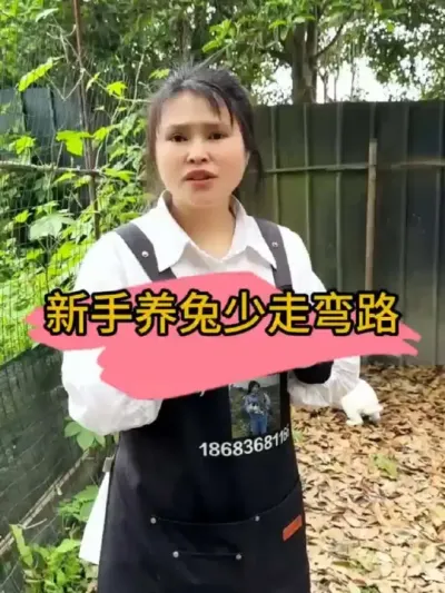 新手养兔一定要注意成本#养兔人 #养兔 #养兔技术 #养兔技术经验分享