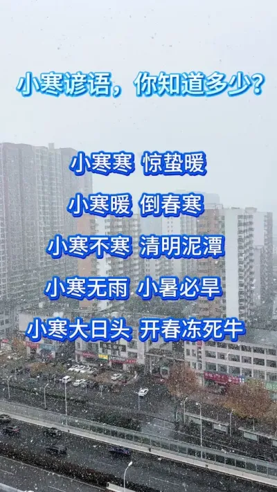 С�������֪������#����ũҵ֪ʶ��ũ���������� #�����������Ļ���