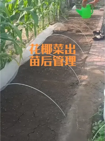 ��Ҭ���������������������#������