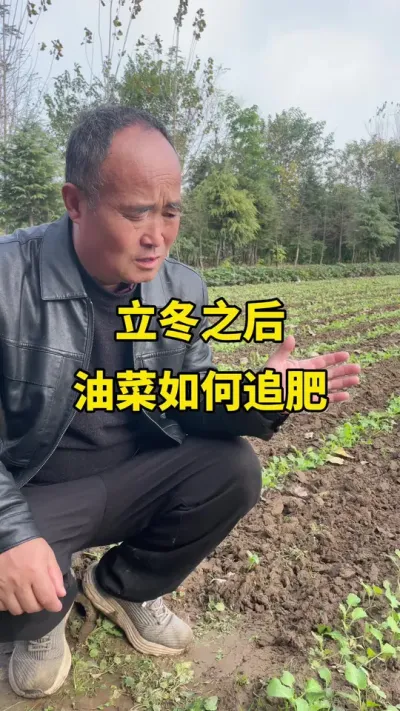 ����֮���Ͳ�����׷��#�Ͳ�ݪֲ #�Ͳ�ݪֲ���� #�Ͳ˸߲� #�Ͳ�����