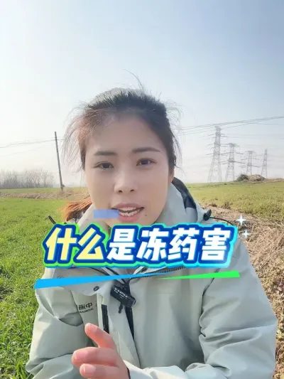 ���ݼ�ҩ���Ͷ�ҩ��������һ����#����#����ũҵ֪ʶ��ũ���������� #�����������Ļ���