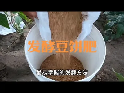 �������Ͷ�����#���Ͷ���