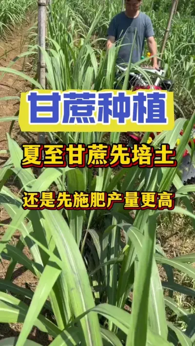 �������쵽���и���������Ҫ���������������������վ���׷�ʲ������������ٷ�֮��ʮ���˶�������#����ݪֲ #����ν� #��������