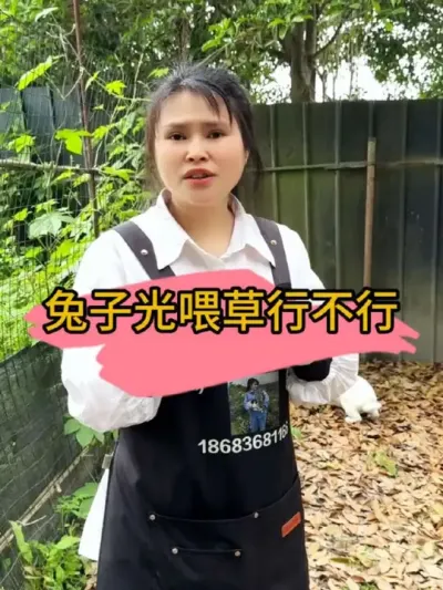 #养兔人 #养兔技术 #养兔技术经验分享