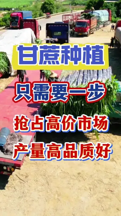 ��Ҫ��������ÿĶ������������Ҫ�������ֽڽ�����������Ҫ��һ���¾�����ǰ������ռ�߼��г�#����ݪֲ#����ν����� #�������