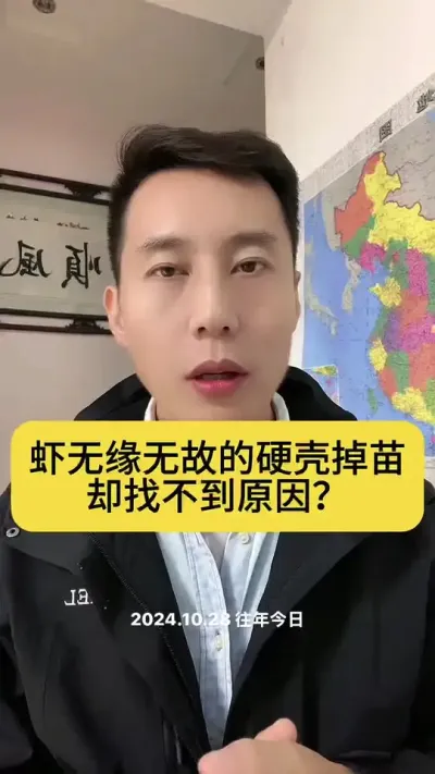 ϺΪʲôӲ�ǵ����� #��Ϻ��ֳ #�����׶�Ϻ��ֳ #������Ϻ #������Ϻ #С����Ϻ