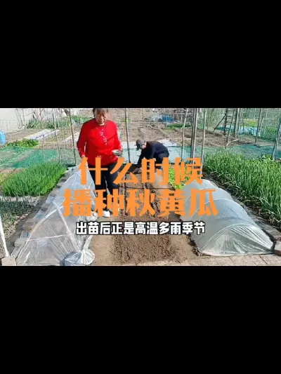 ʲôʱ�䲥����ƹ�#��ƹ�