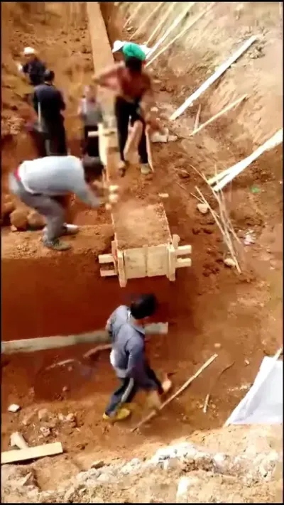 ��������ס����Ӧ��δ��#�������� #ũ��Ƿ� #������