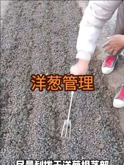 ��н��ⶳˮ����������