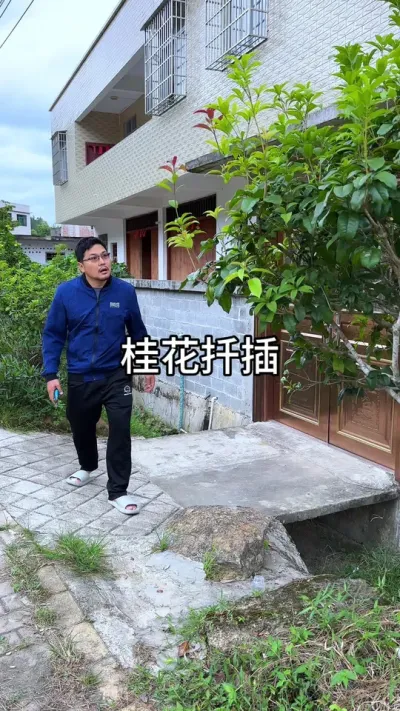 ��������#������ֲ #ݪֲС���� #����