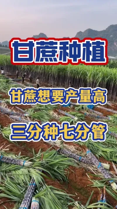 �ָ�����Ҫ��������Ǯ�������ֿ����߷ֿ�����#����ݪֲ#����ʩ��#����