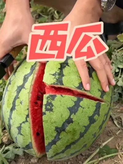 ����и����ϰ�?#��ũ #��ũ #ԭ����Ƶ #����ũ��Ʒ #�����߰�������