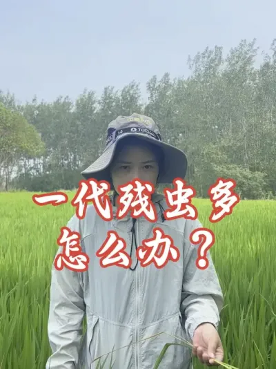 ������̫������ô��#����ũҵ֪ʶ��ũ���������� #�����������Ļ���