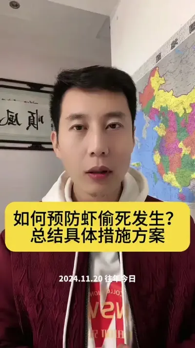 Ϻ͵���Ĵ��óͷ��ƻ�#�����׶�Ϻ #��Ϻ�� #��Ϻ��ֳ #������Ϻ #С����Ϻ