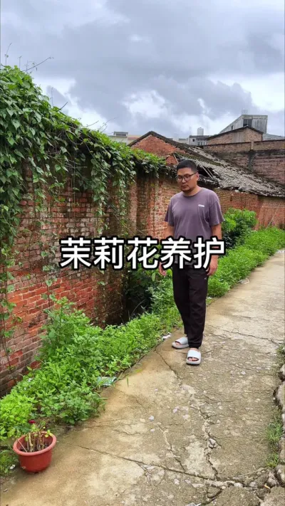 ������������#������ֲ #ݪֲС���� #����