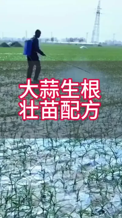 ��������׳���䷽#ũ����#����ݪֲ#�������#��ũ