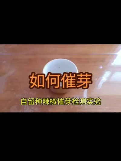 ����������������������ѿ