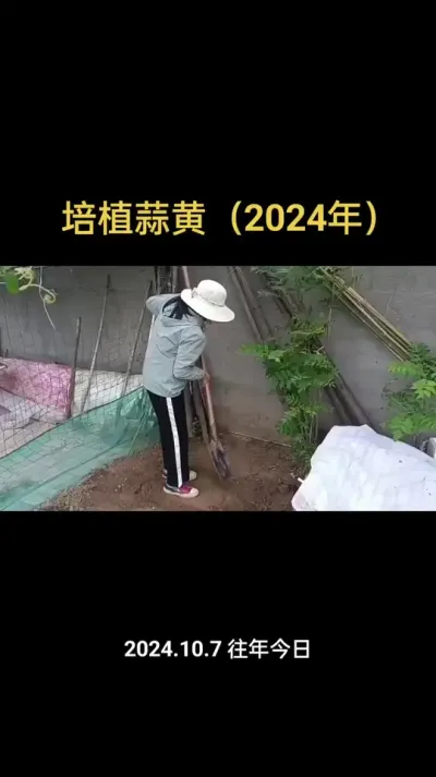 ����ݪֲ��ƣ�2024�꣩#���