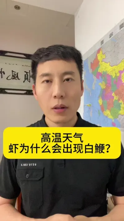 ��������ϺΪʲô�᷺����b��#�����׶�Ϻ #��Ϻ�� #������Ϻ #��Ϻ��ֳ #�������